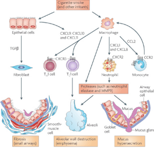 Screen Shot 2014-08-02 at 12.52.11