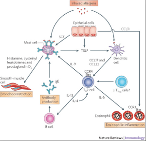 Screen Shot 2014-08-02 at 12.52.34
